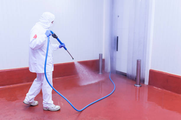 Best Warehouse Cleaning  in Sylvania, GA