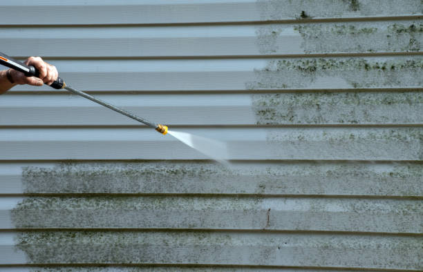 Best Roof Washing  in Sylvania, GA